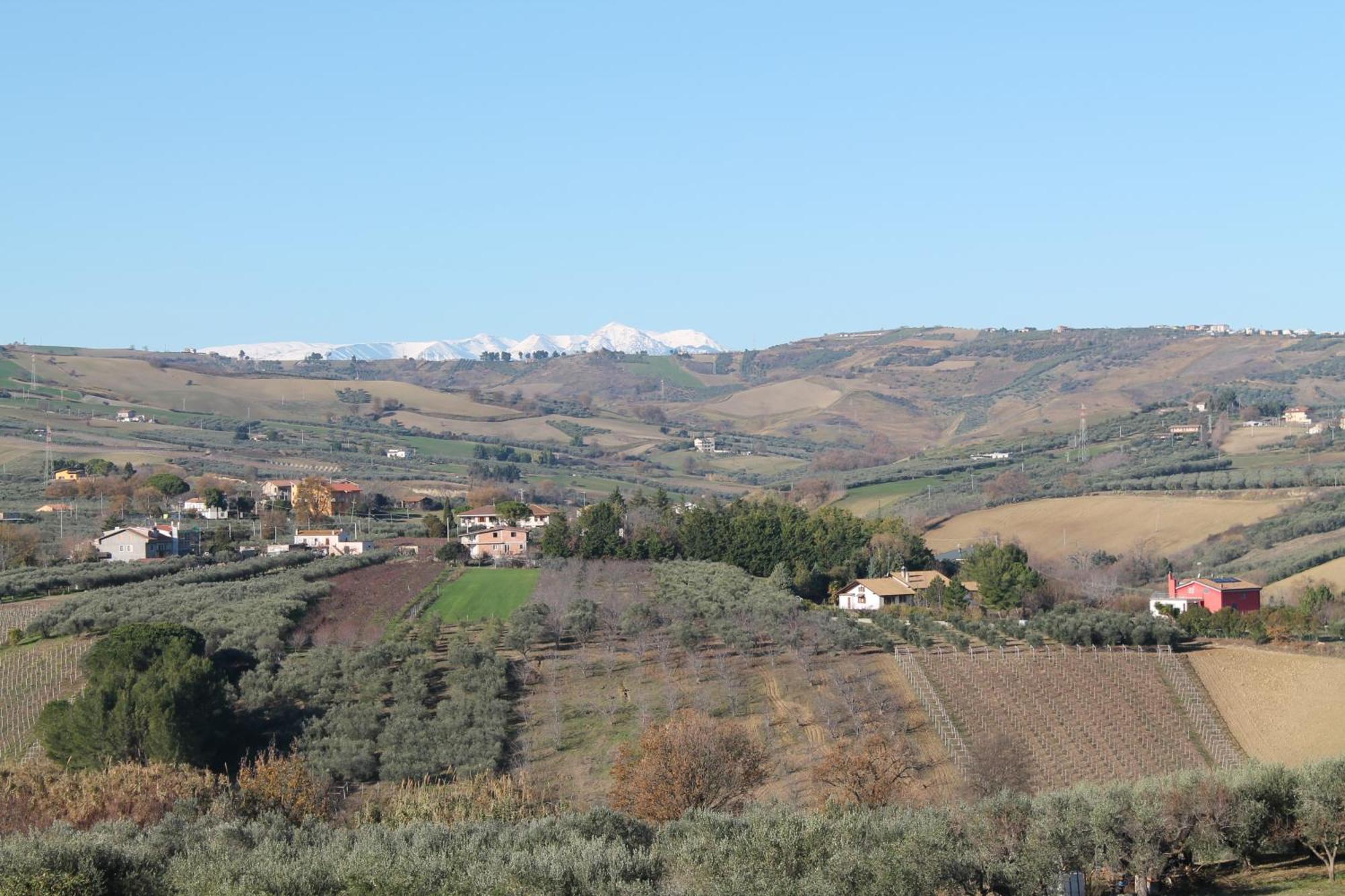 Colline Del Sole Bed & Breakfast San Salvo Exterior photo